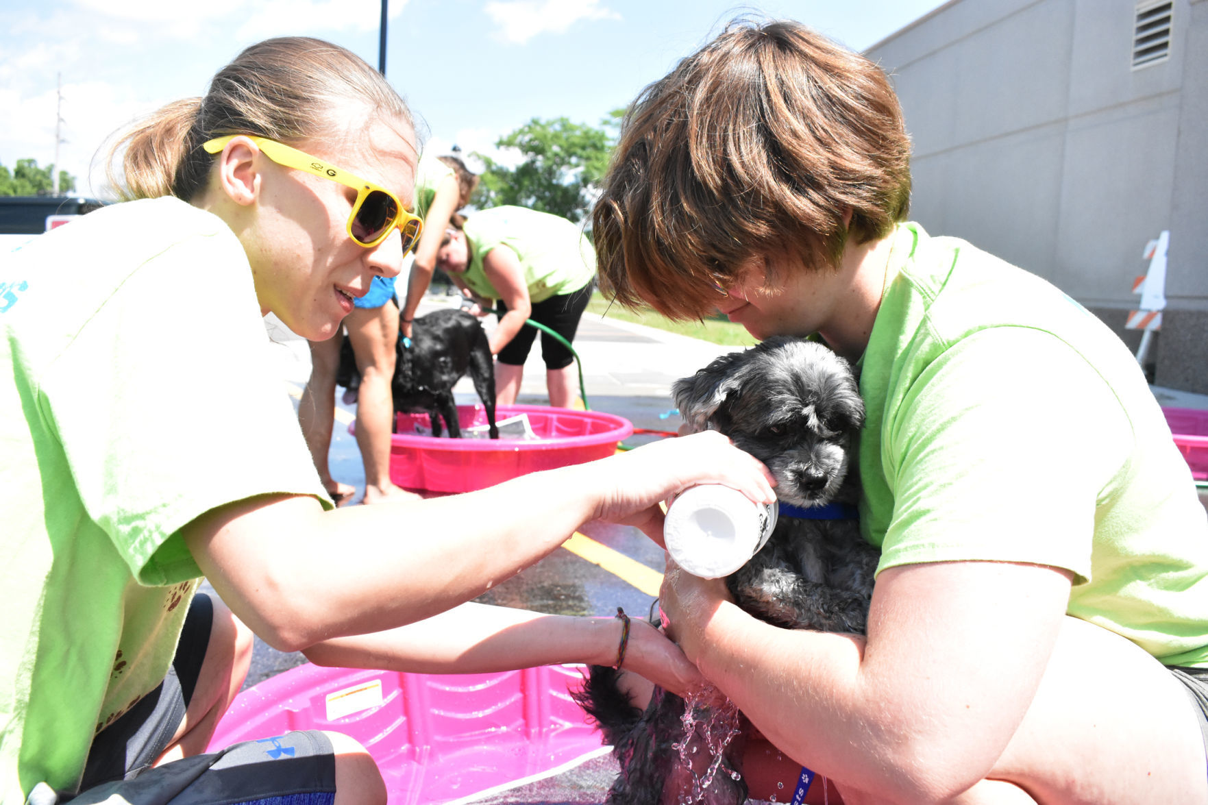 Rinsing off Oliver the Shih Tzu